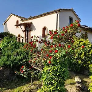 Borgo De' Muracci Ribolla